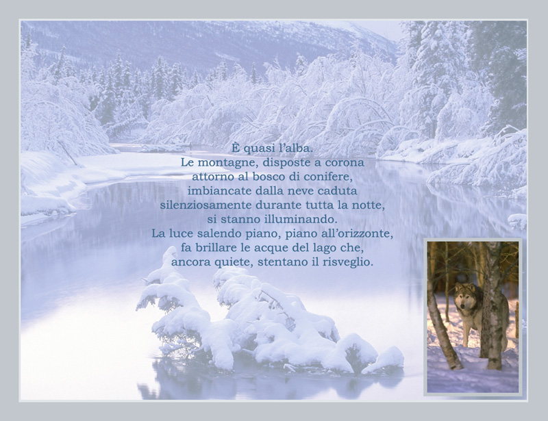 Libera-Mente-Semplice